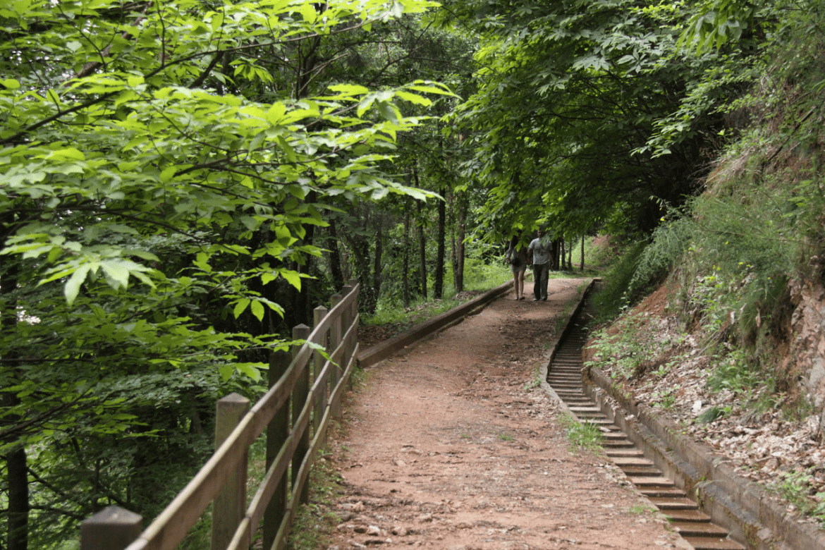 Un tram del Camí de Sant Jaume. Foto: Associació de Turisme La Selva, Comarca de l'Aigua