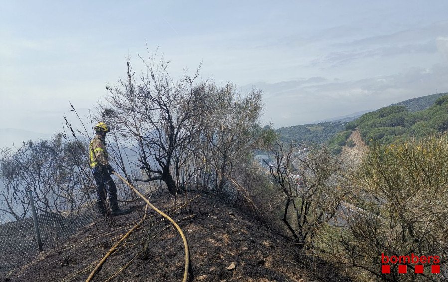 Un incendi crema al costat de l'autopista, a Calella. Foto: Bombers