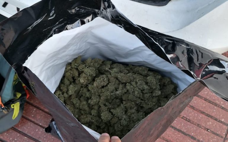 Marihuana confiscada pels Mossos. Foto: Mossos