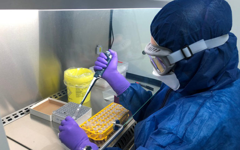 Pla mitjà d'una treballadora analitzant una mostra de PCR en el laboratori d'Hipra el 8 d'abril de 2020. Foto: ICS Girona