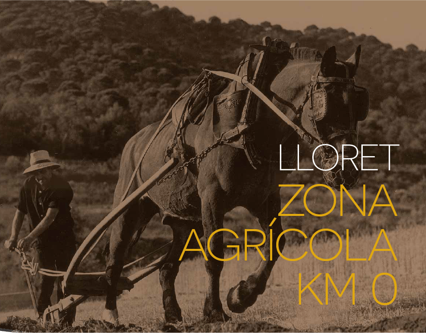 L'exposició "Lloret, zona agrícola Km 0" es pot visitar des d'aquest cap de setmana a Can Saragossa. Foto: Aj. Lloret