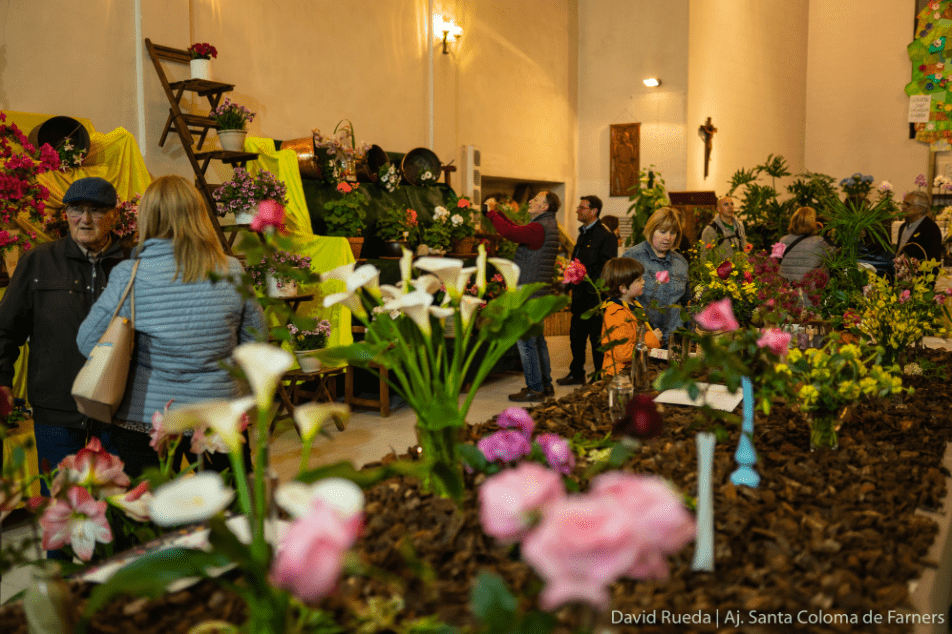Mercat de les Herbes i Concurs-Exposició de Flors. Foto: David Rueda - Aj. Santa Coloma