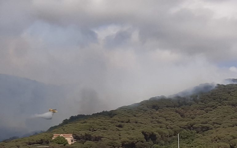 A l'incendi forestal d'Argentona treballen diversos mitjans terrestres i aeris