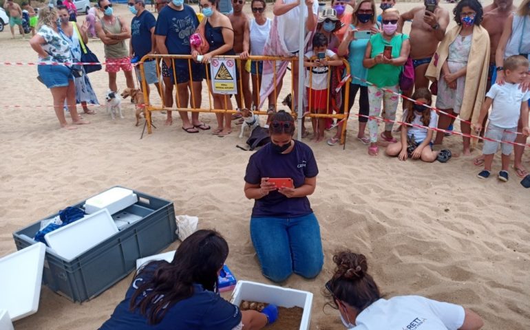 Equip del CRAM i del projecte 'Caretta a la vista!' al niu de la platja de la Picòrdia d'Arenys de Mar. Foto: Ajuntament d'Arenys de Mar